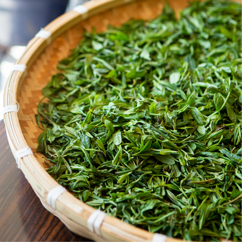 Ultra Rich Gold Shampoo