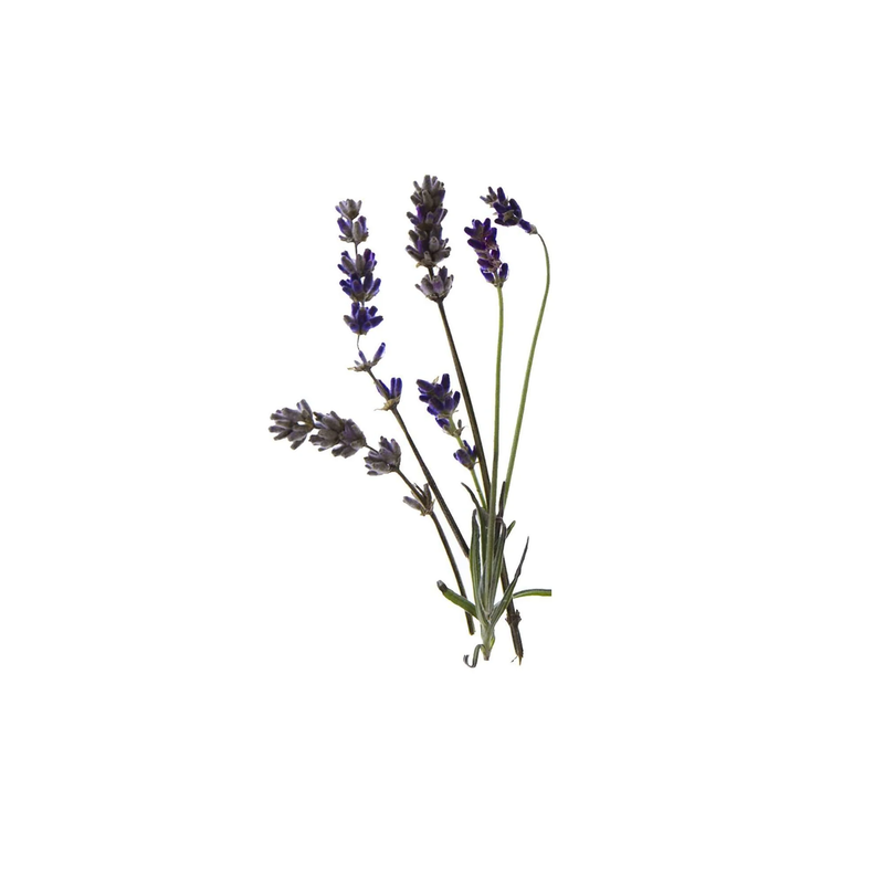 Sleep Atmosphere Mist Pillow Spray